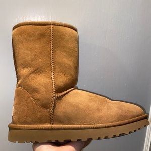 UGG classic short ll boot chestnut
